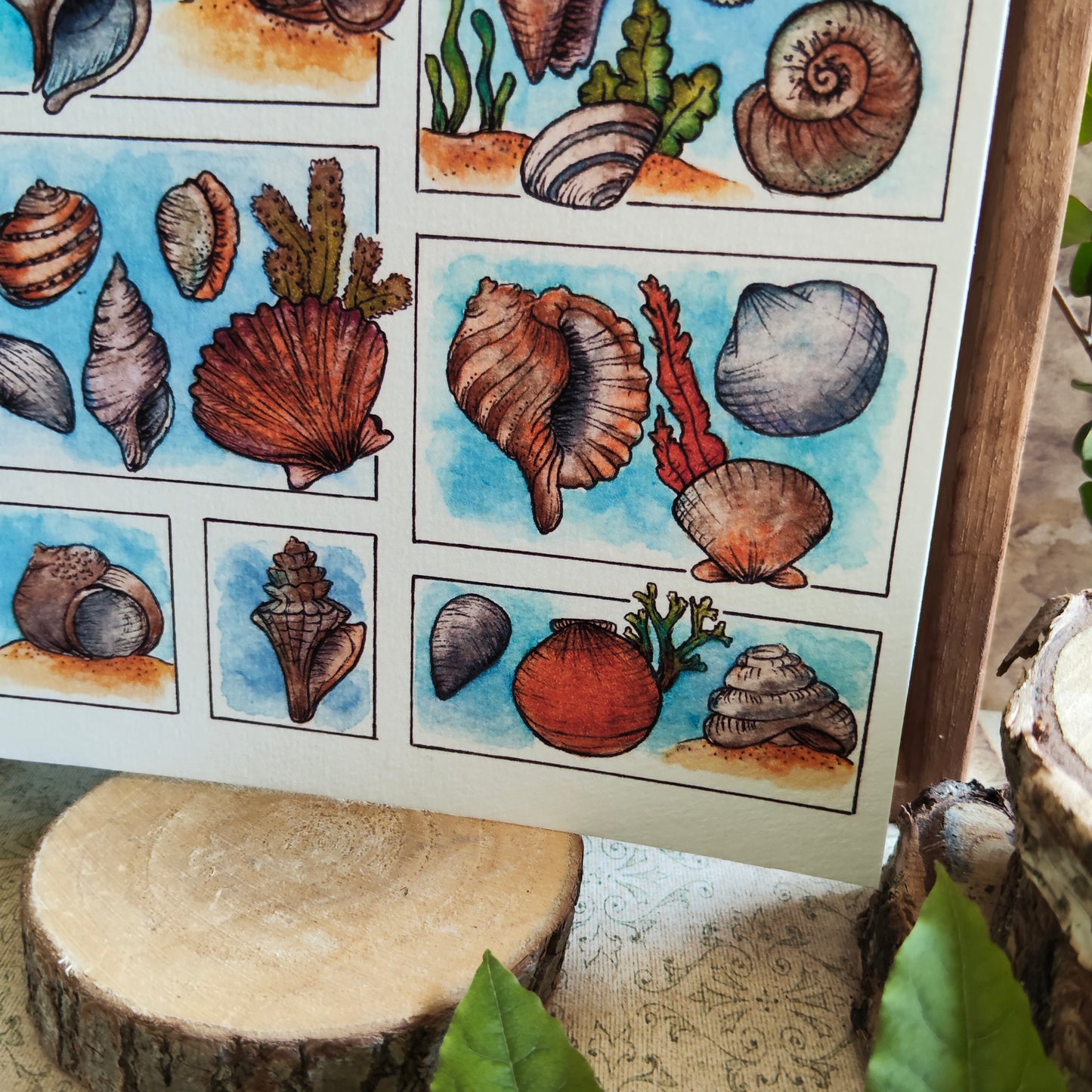 Affiche A5 Coquillages – Illustration Bord de Mer à l’Aquarelle, Ambiance Plage et Océan