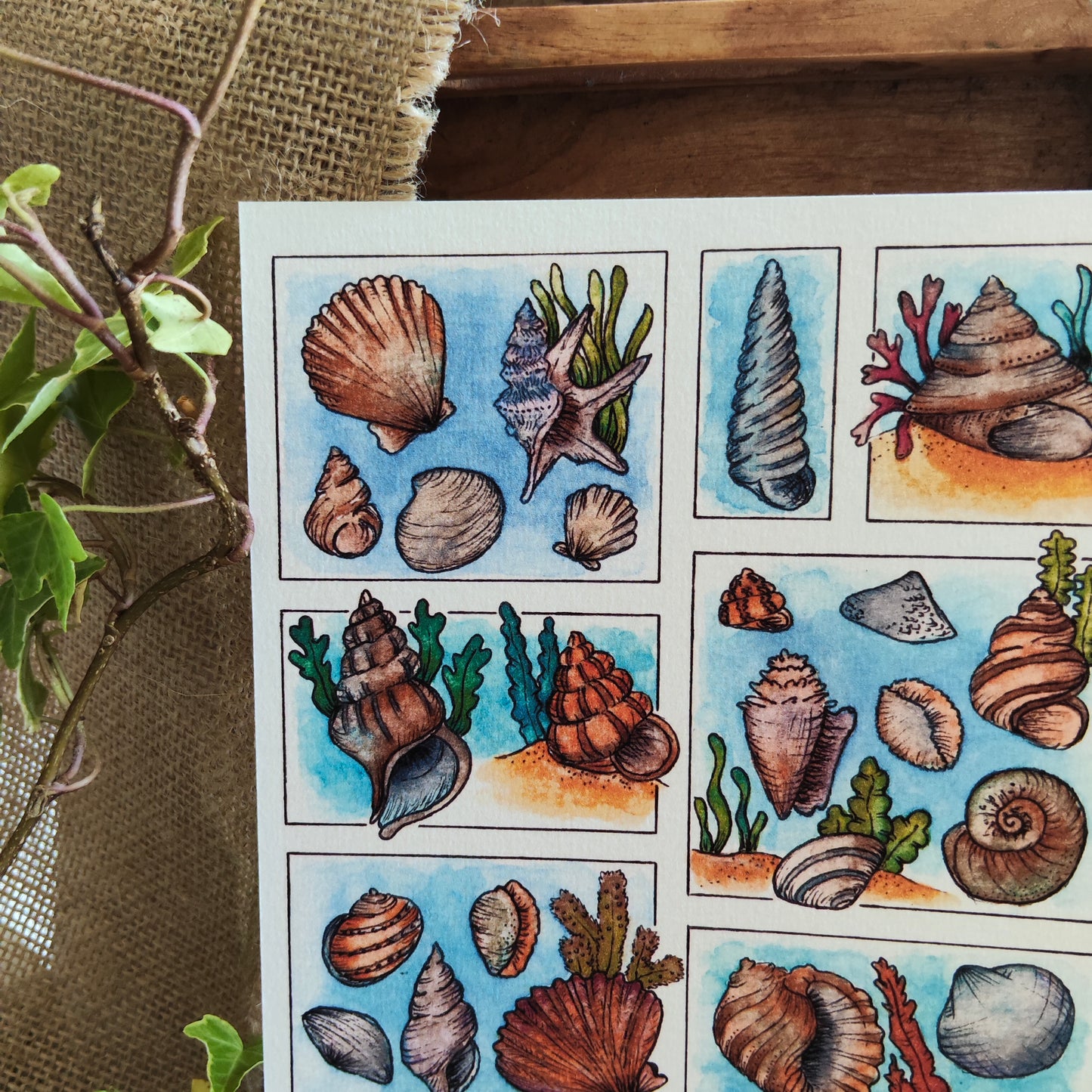 Affiche A5 Coquillages – Illustration Bord de Mer à l’Aquarelle, Ambiance Plage et Océan