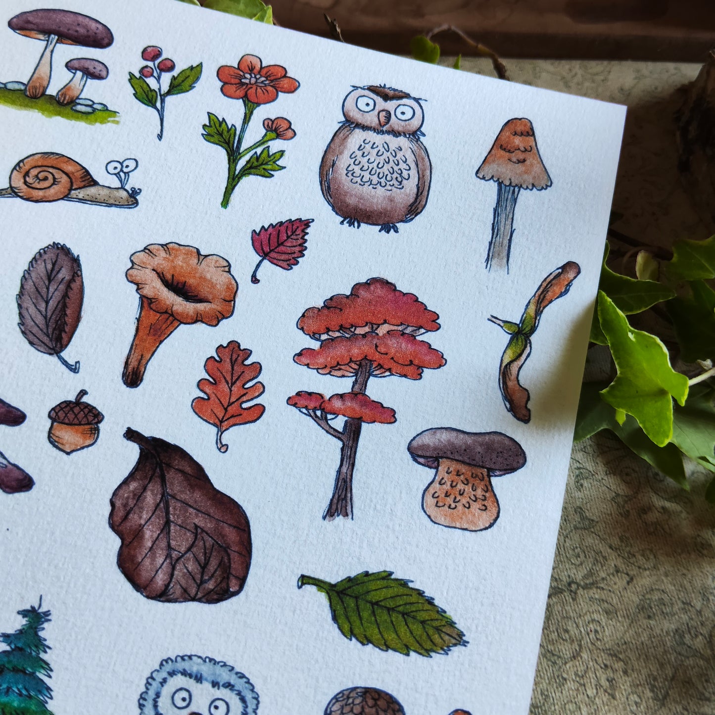 Affiche A5 – Balade en forêt – Illustration nature champignons et animaux mignons