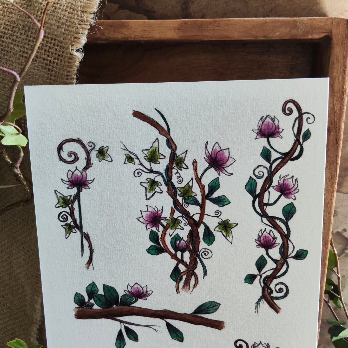 Affiche A5 – Lierre et Branche – Illustration florale Fleurs Magnolia