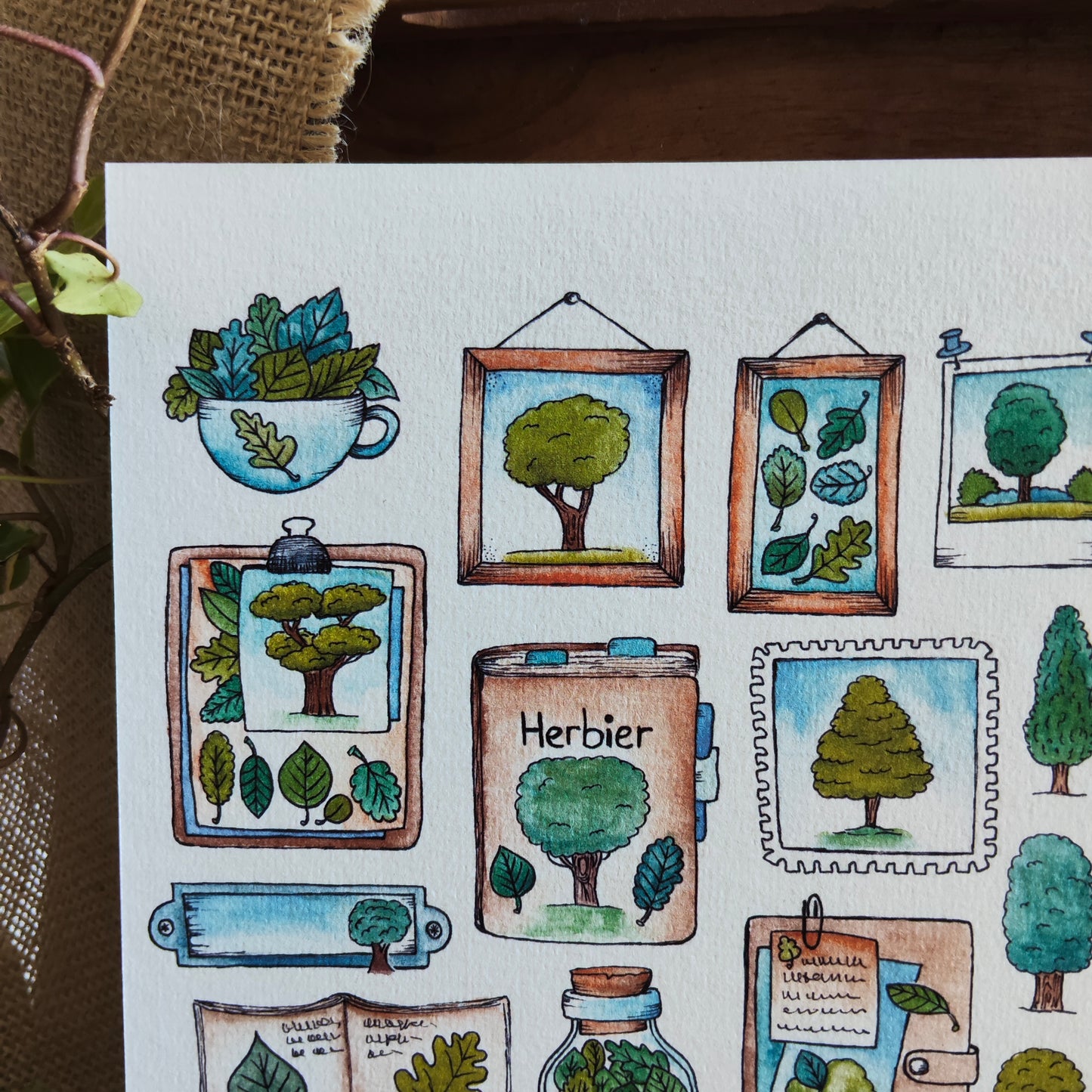 Affiche A5 – Herbier Arbre illustré – Planche botanique plantes et objets