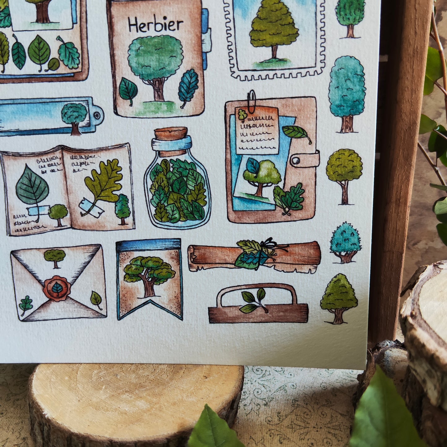 Affiche A5 – Herbier Arbre illustré – Planche botanique plantes et objets