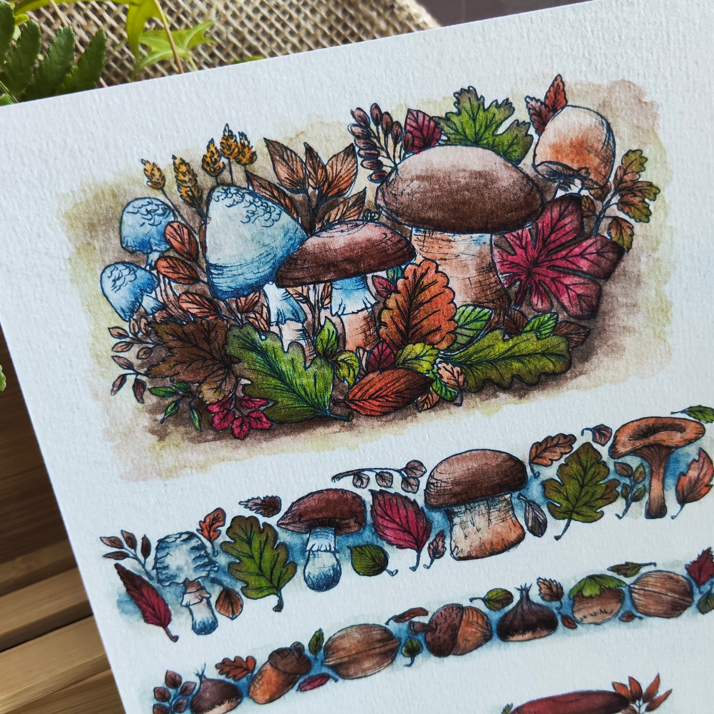 Affiche Bordure Champignon – Glands, Noix & Feuilles