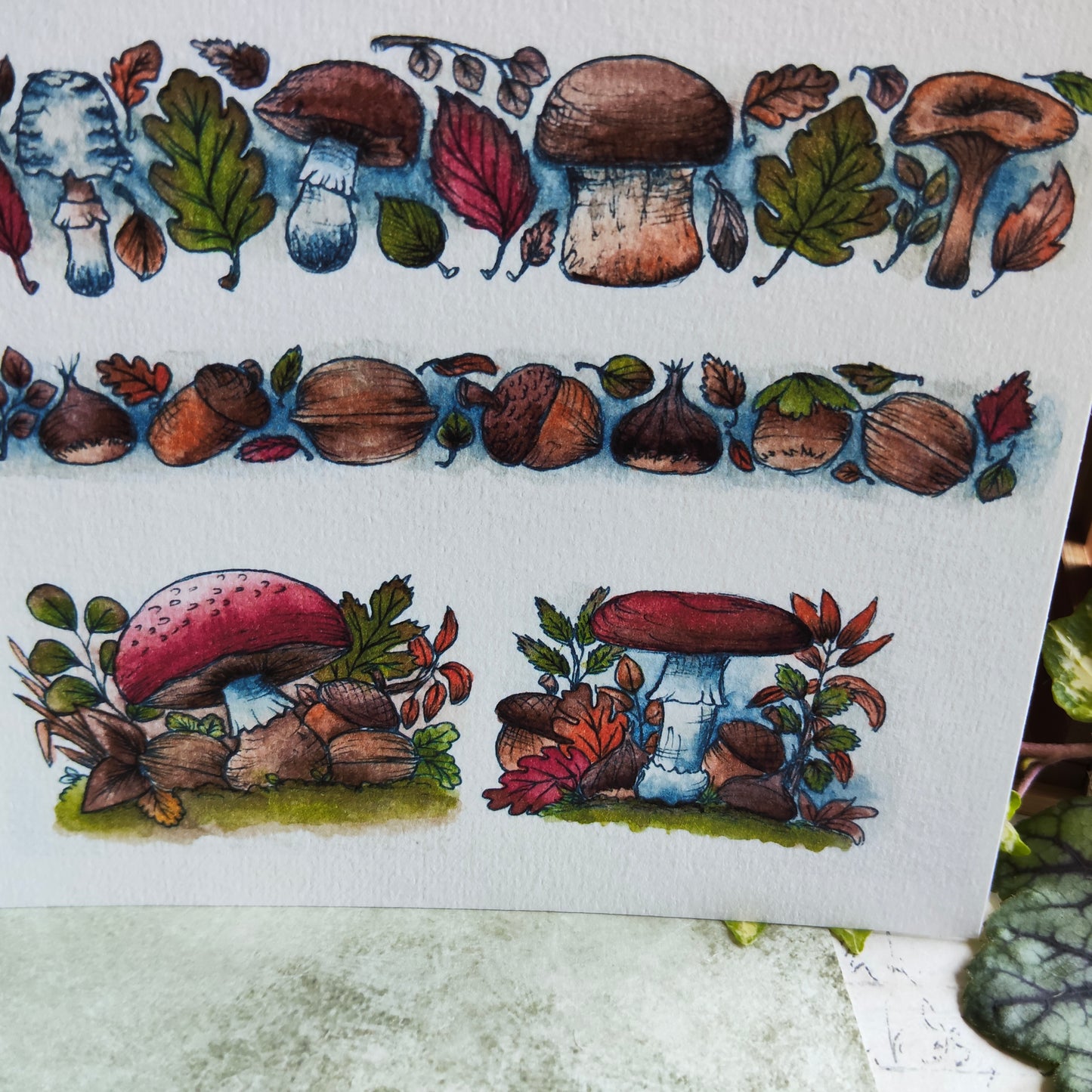Affiche Bordure Champignon – Glands, Noix & Feuilles