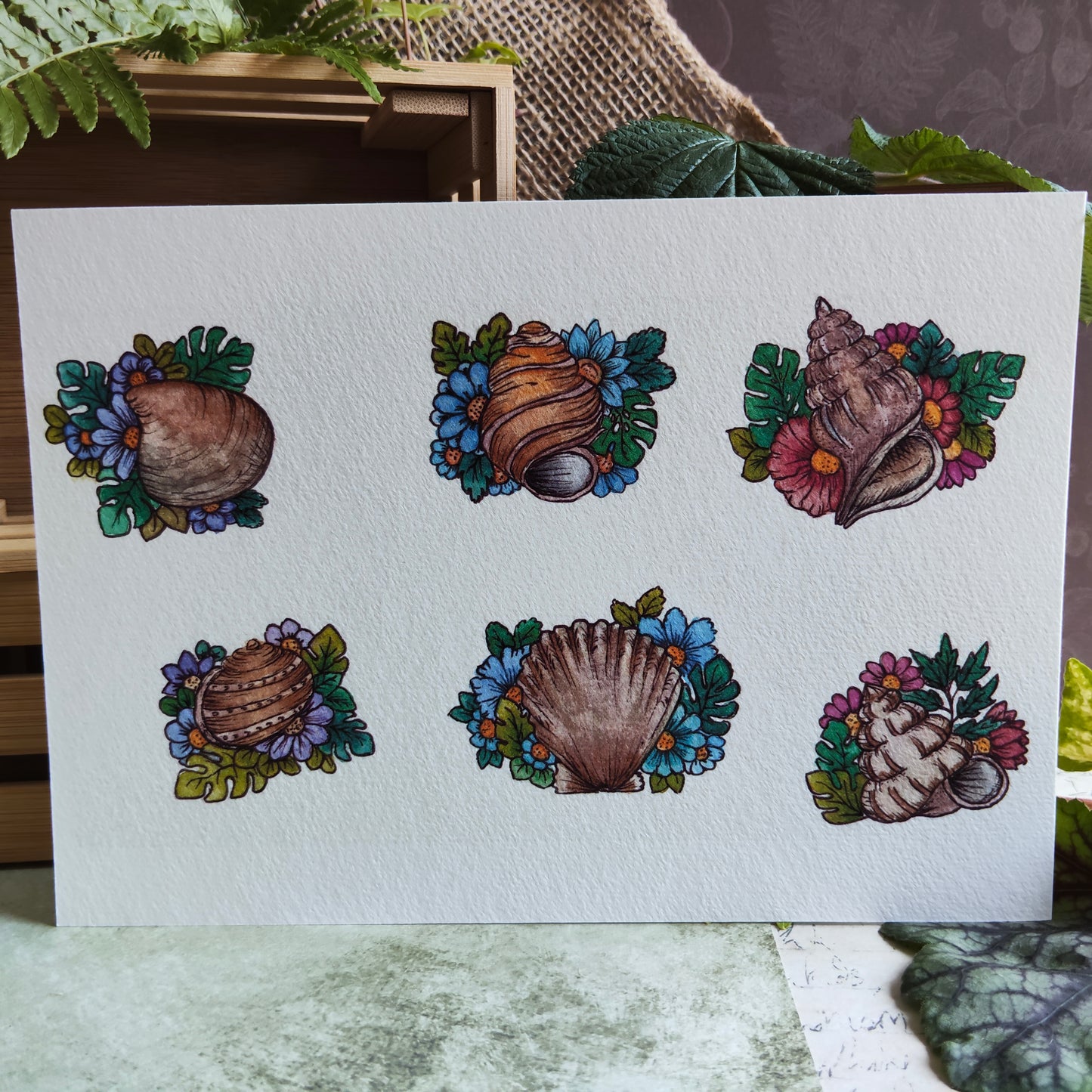 Affiche A5 Coquillages Ronds – Fleurs et Mer