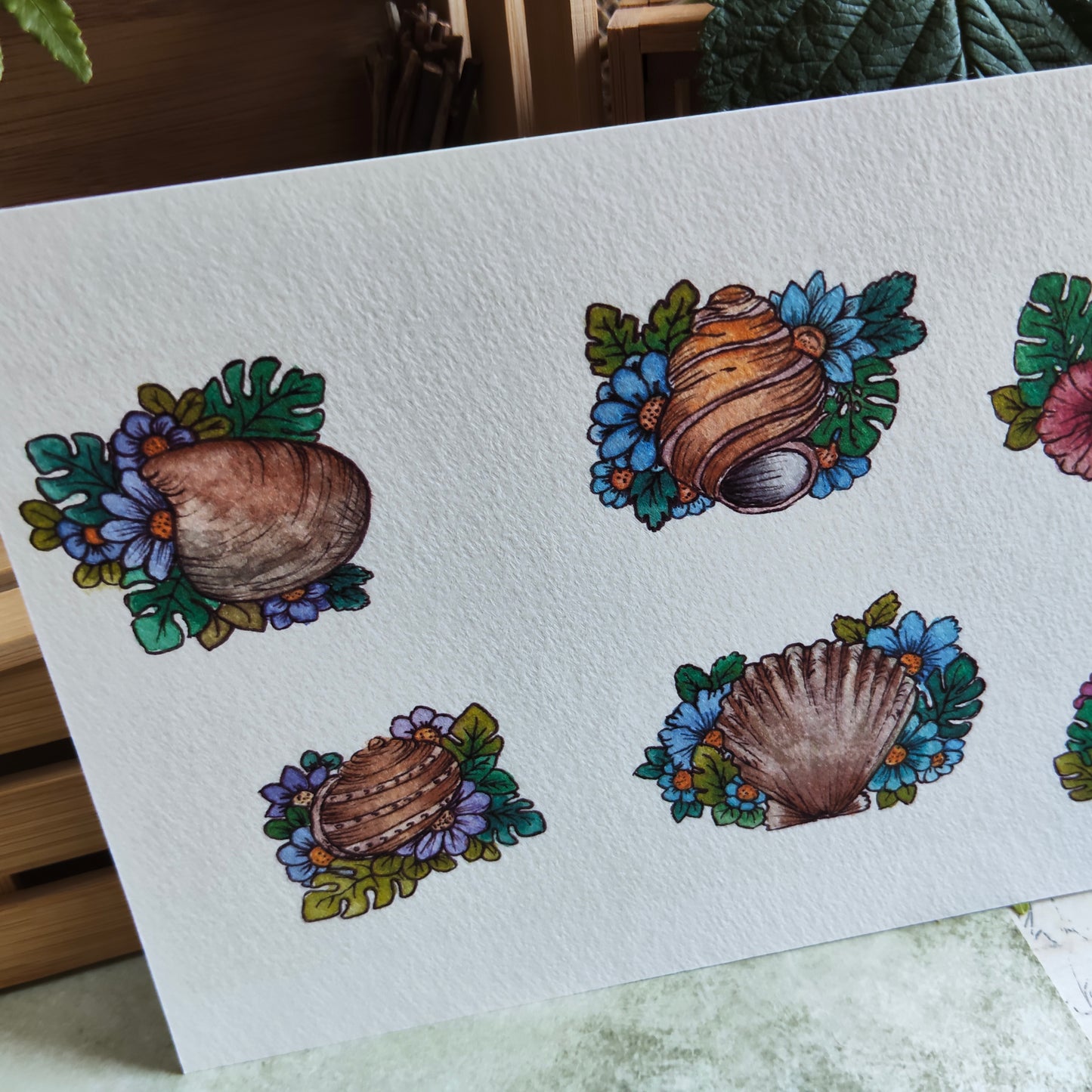 Affiche A5 Coquillages Ronds – Fleurs et Mer