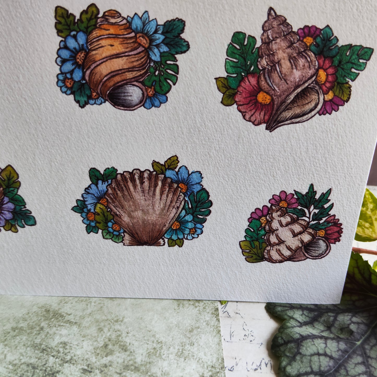 Affiche A5 Coquillages Ronds – Fleurs et Mer
