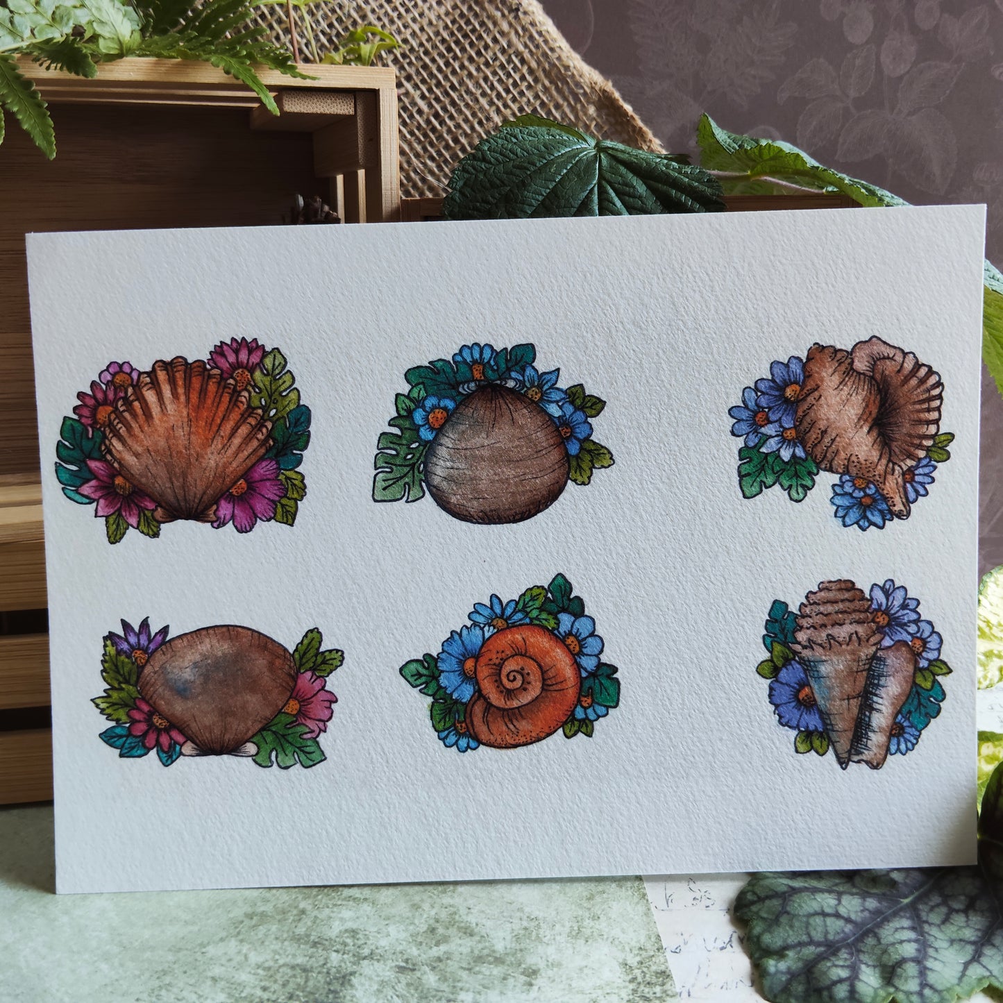 Affiche A5 Coquillages et Fleurs – Plage et Été