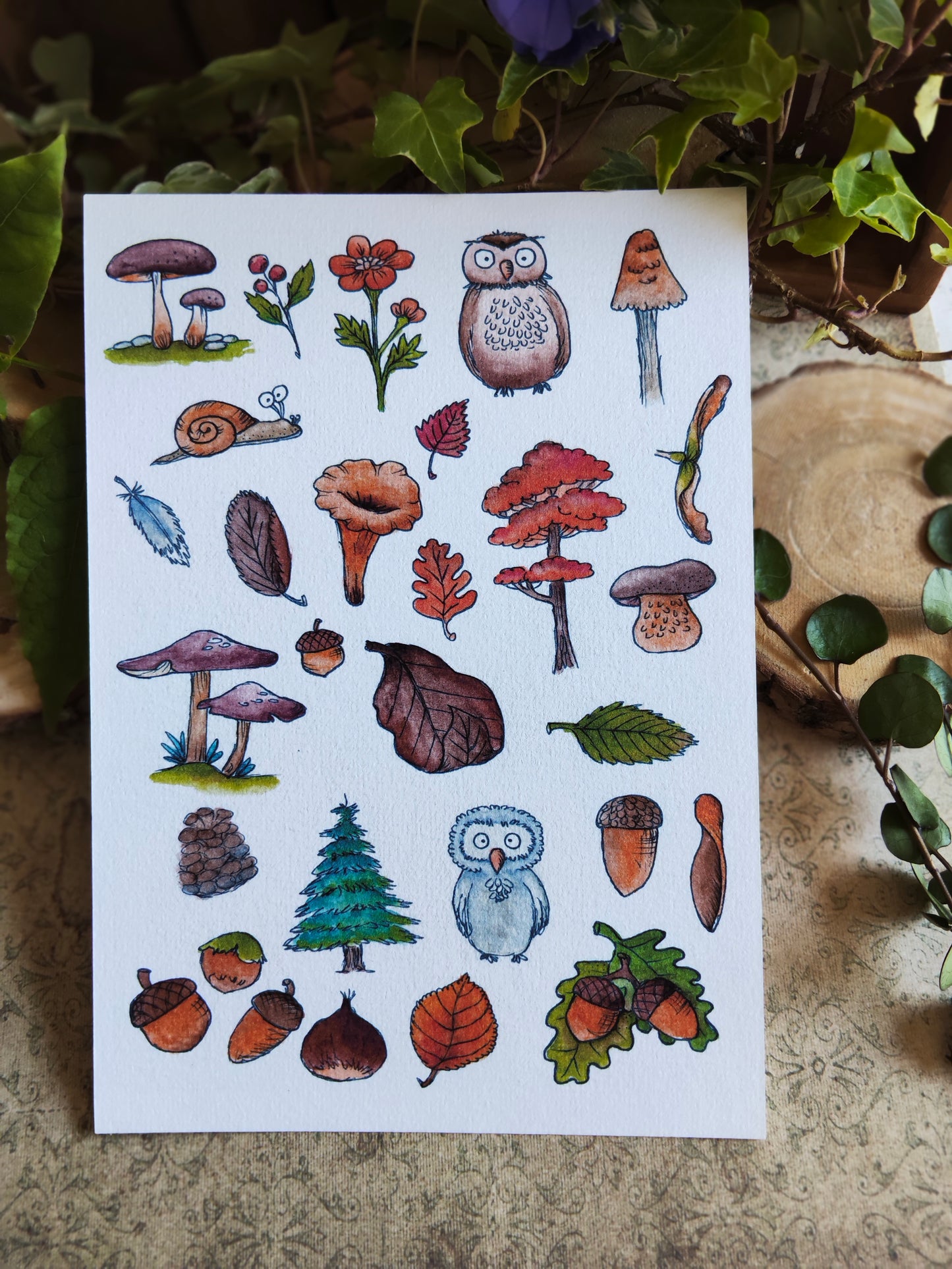 Affiche A5 – Balade en forêt – Illustration nature champignons et animaux mignons
