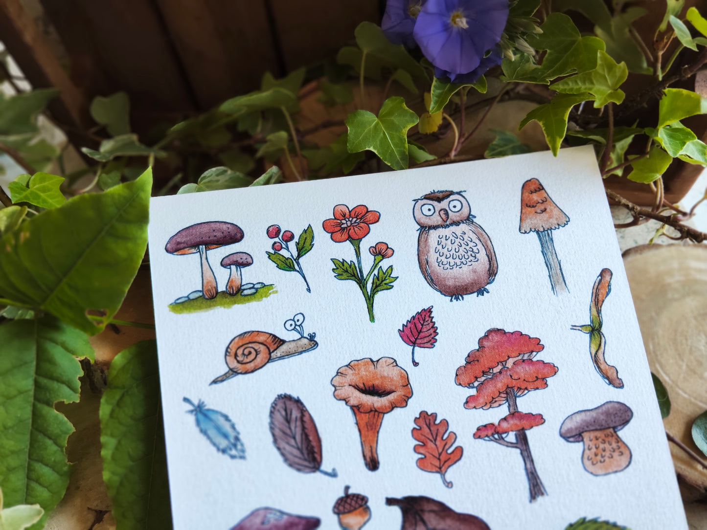 Affiche A5 – Balade en forêt – Illustration nature champignons et animaux mignons