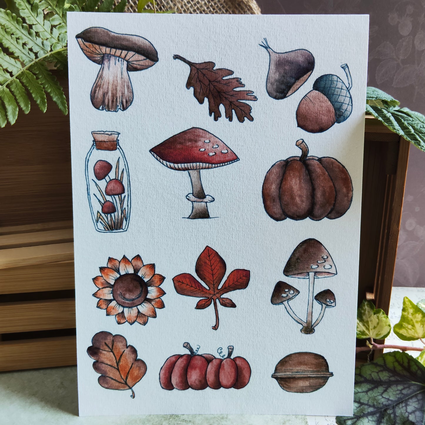 Affiche A5 Champignons & Feuilles – Collection Nature
