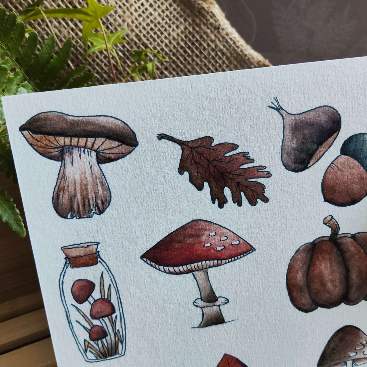 Affiche A5 Champignons & Feuilles – Collection Nature
