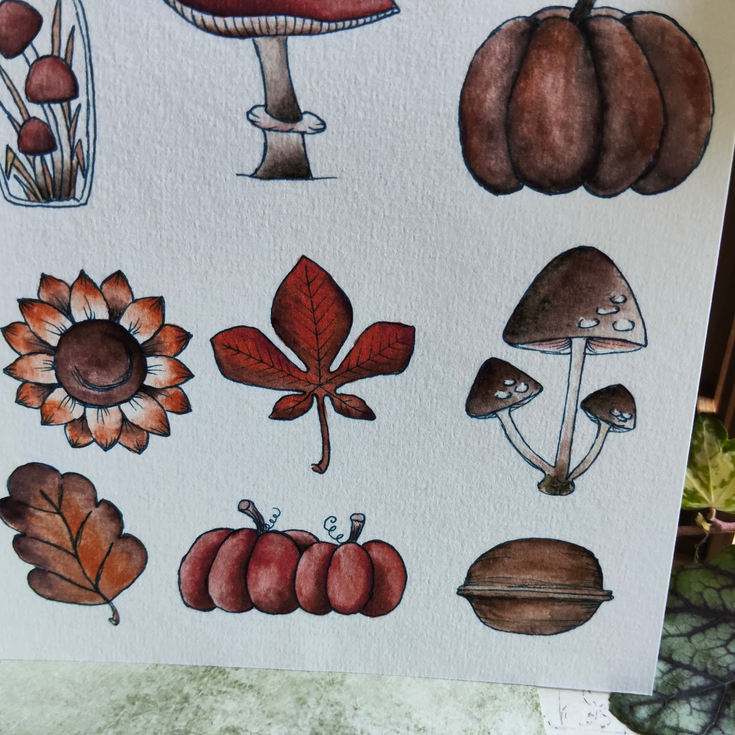 Affiche A5 Champignons & Feuilles – Collection Nature