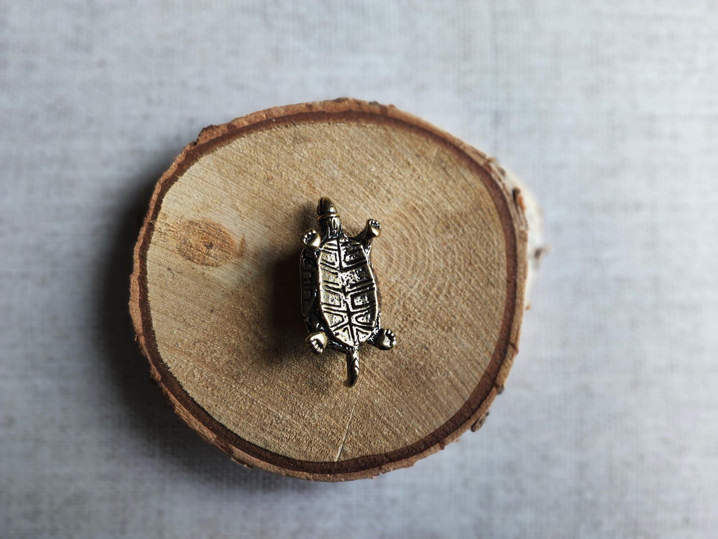 Tortue reptile figurine animal