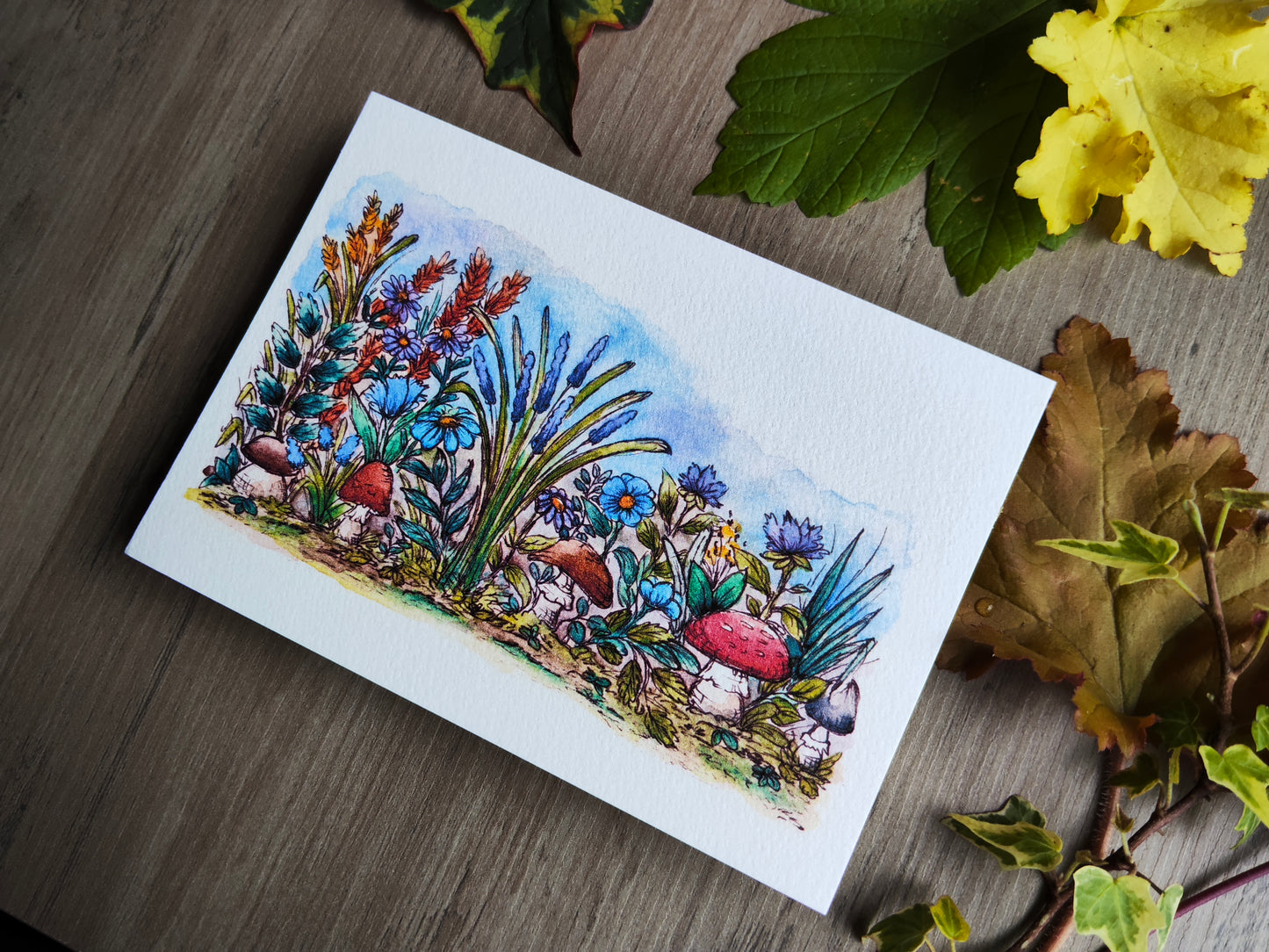 Carte A6 - Illustration aquarelle champignons et fleurs sauvages - Nature enchantée