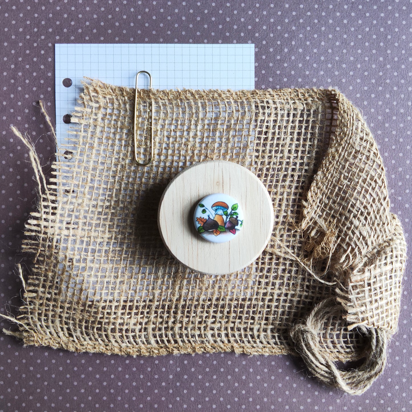 Badge Champignon et petit marron saison automne nature forêt