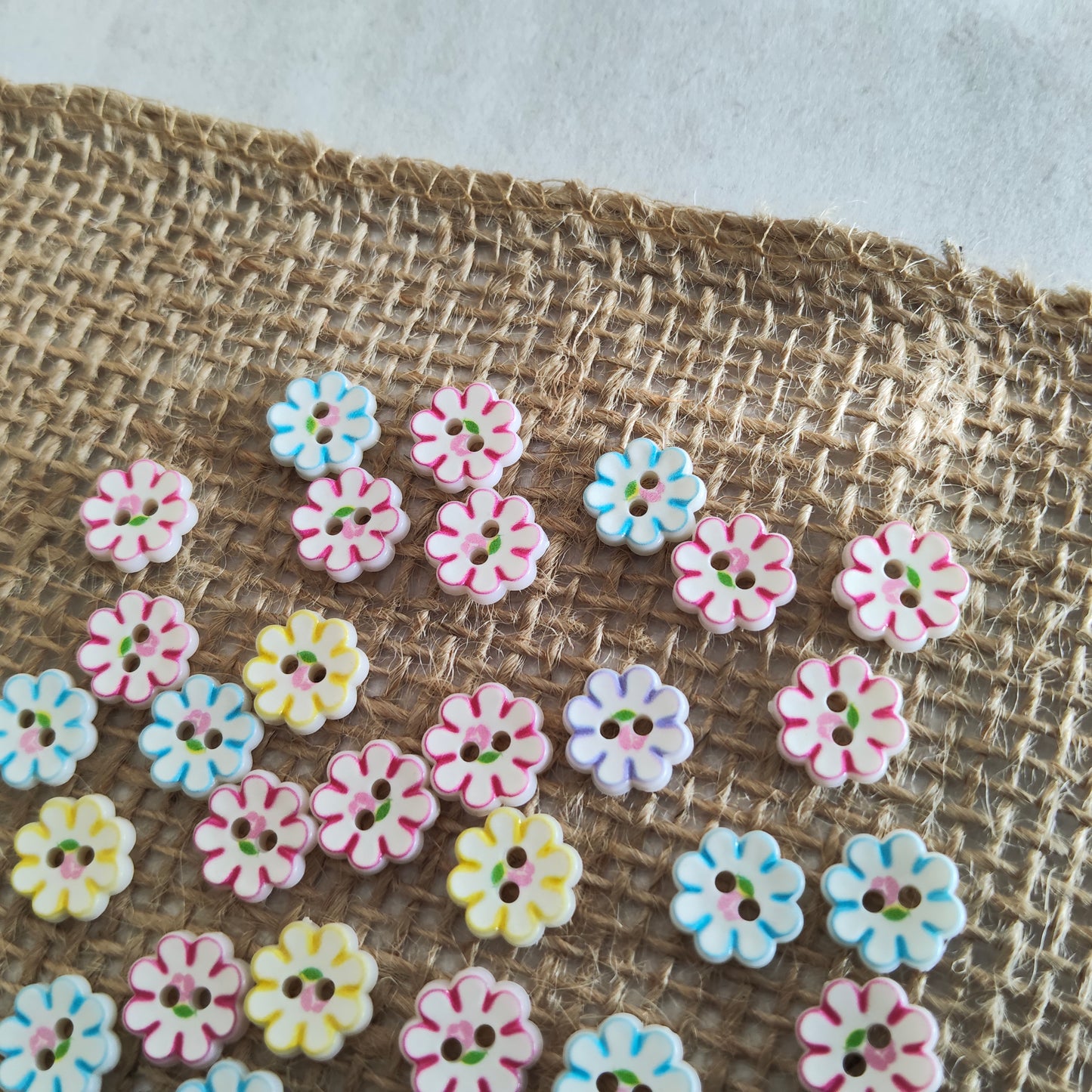 Boutons petite fleurs blanche et couleurs