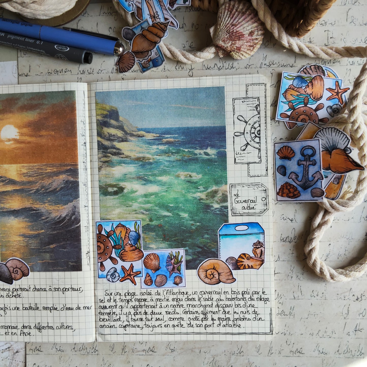 Stickers coquillages – Lot de 38 autocollants d’été à l’aquarelle - Illustrations nature et océan