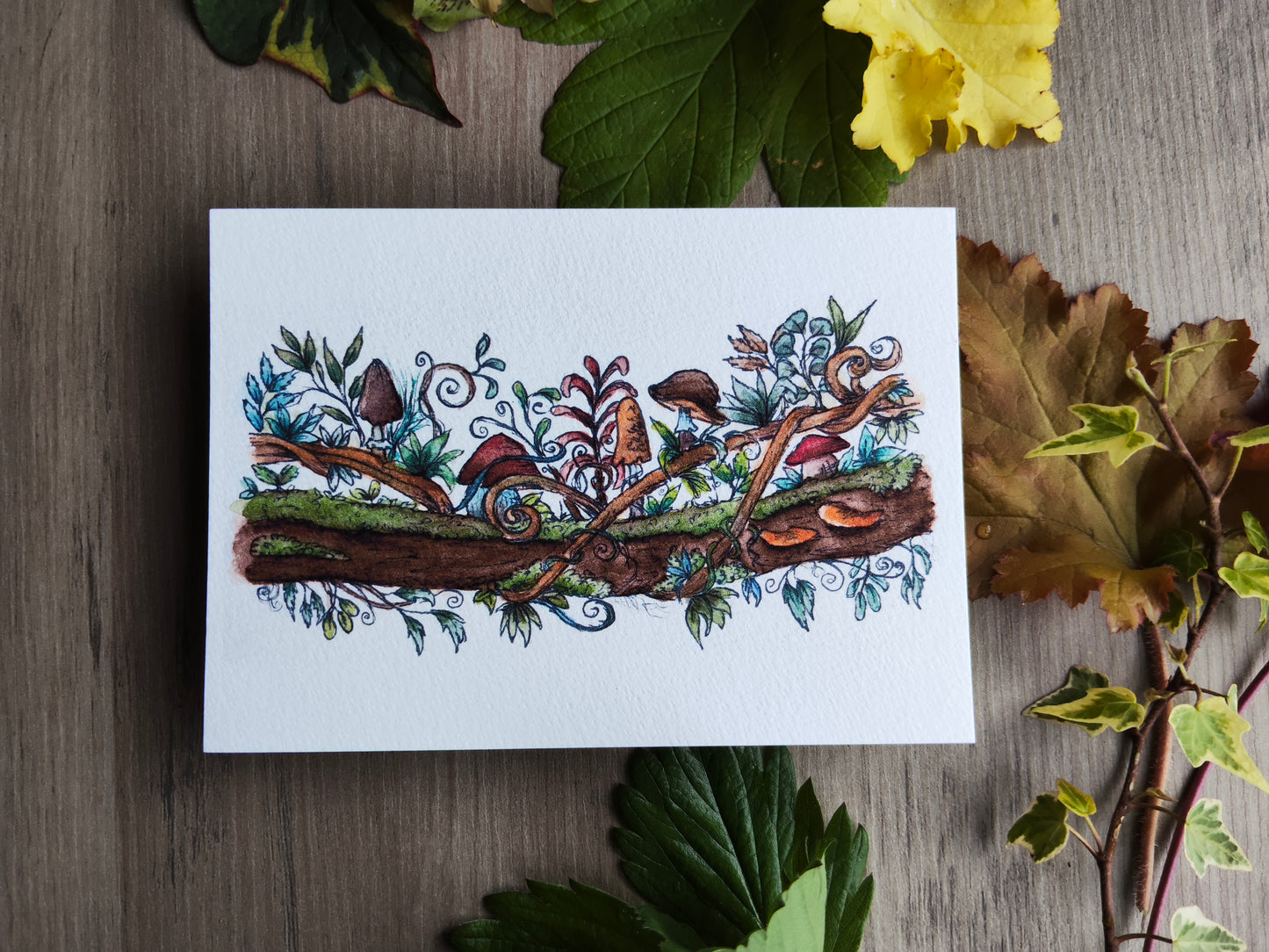 Carte A6 champêtre illustrée – Branche fleurie avec champignons, aquarelle imprimée d’une illustration magique et botanique, carte nature
