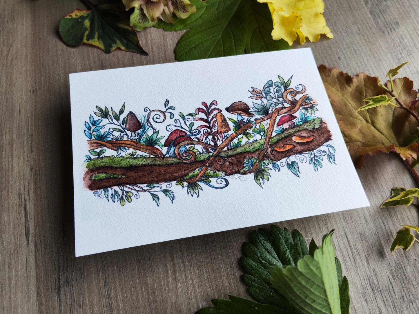 Carte A6 champêtre illustrée – Branche fleurie avec champignons, aquarelle imprimée d’une illustration magique et botanique, carte nature