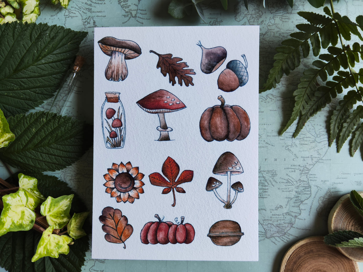Carte Automne Nature – Feuilles, Champignons et Citrouilles