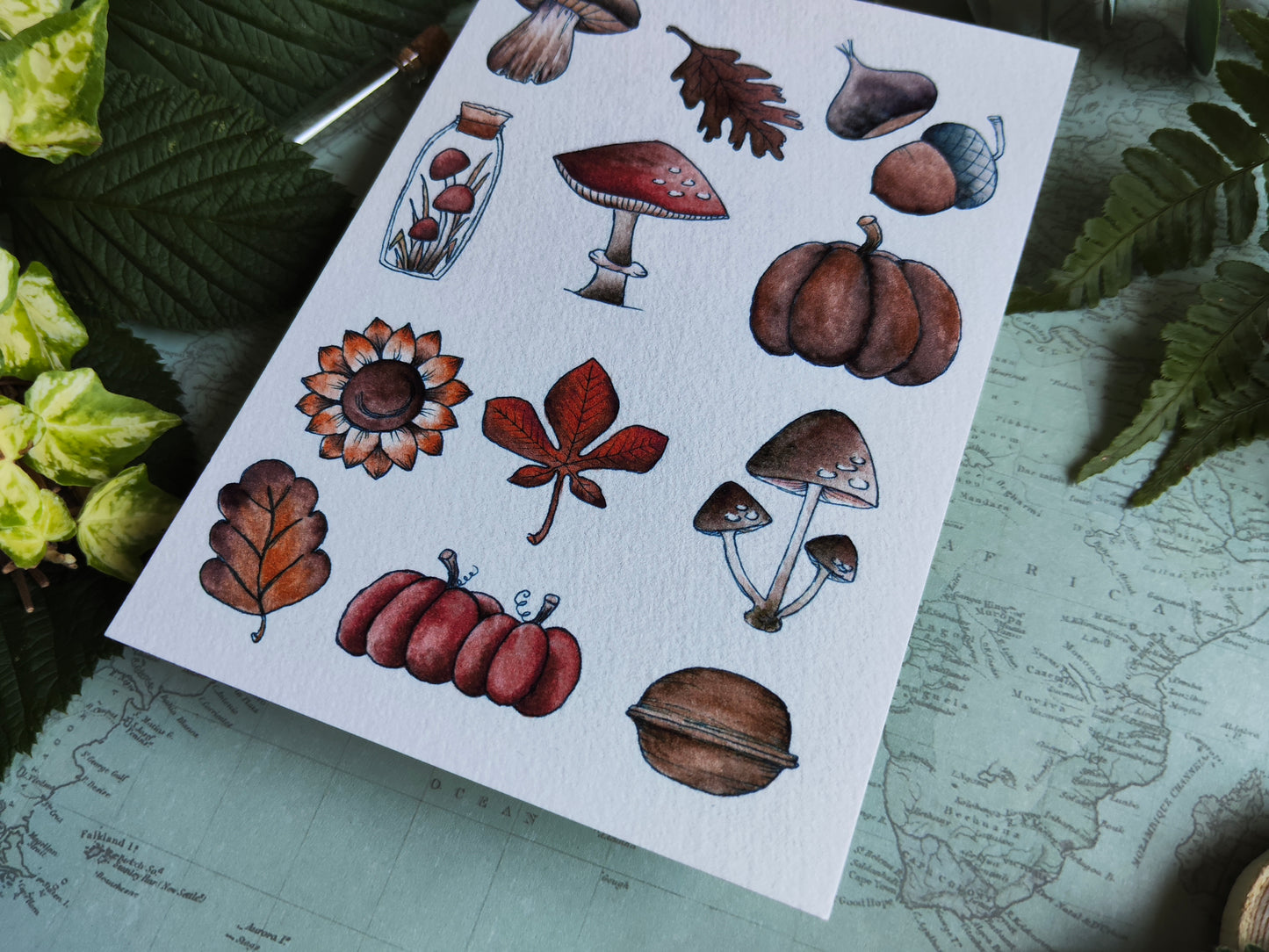 Carte Automne Nature – Feuilles, Champignons et Citrouilles