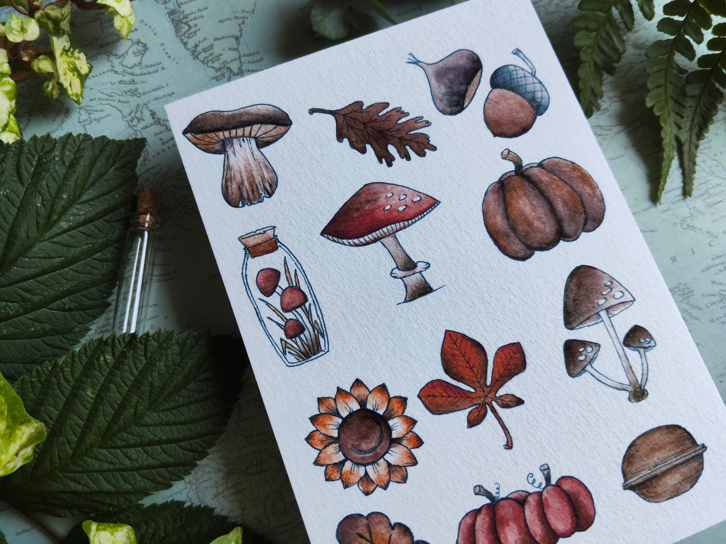 Carte Automne Nature – Feuilles, Champignons et Citrouilles