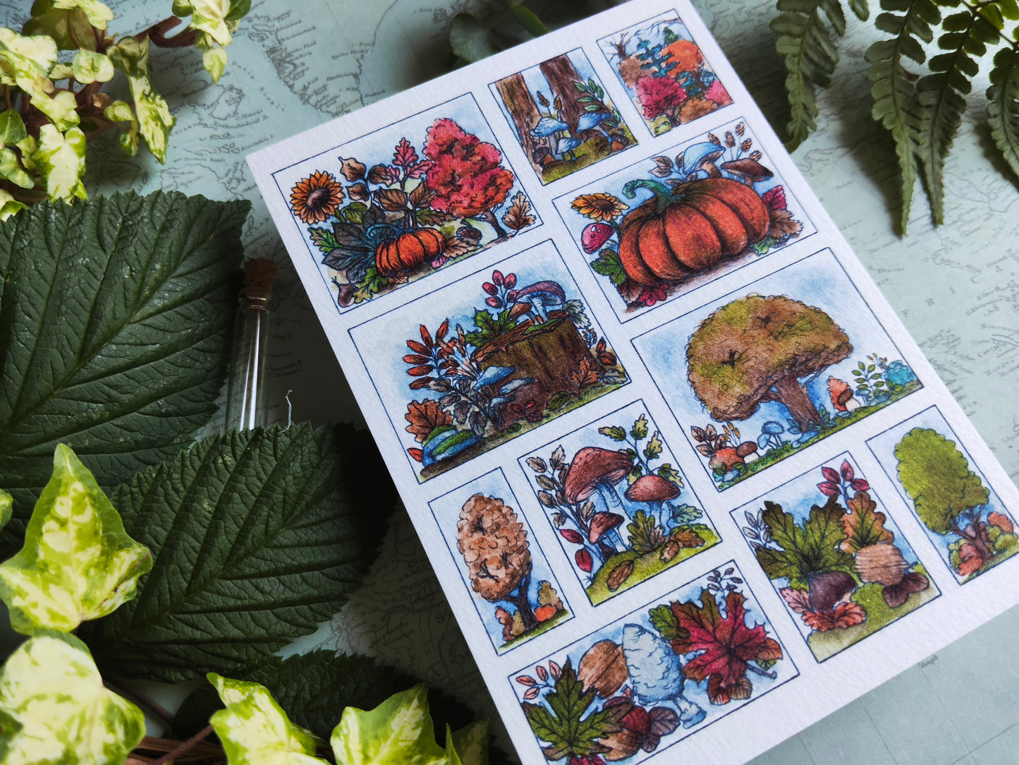 Carte Moodboard Citrouilles – Arbres, Feuilles et Teintes Orange-Brun