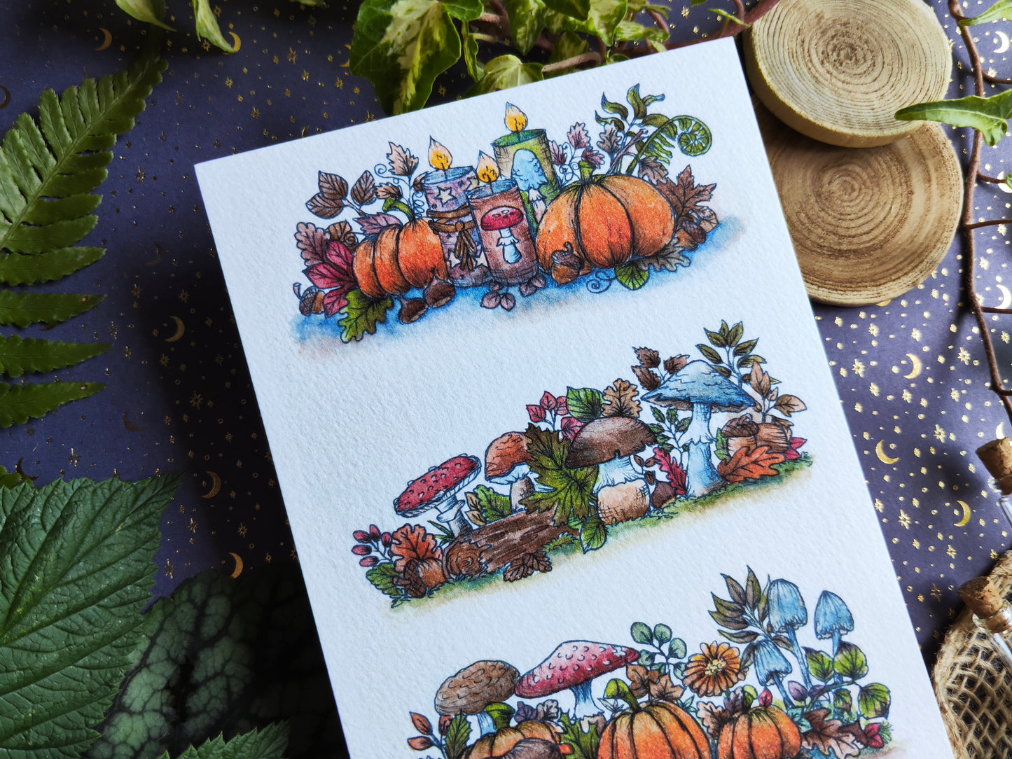 Carte Citrouilles Champignon – Contraste Automnal et Magie