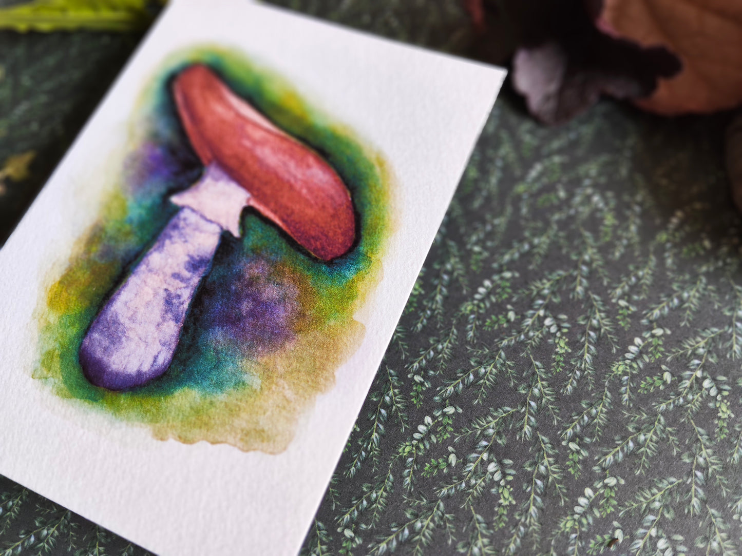 Carte Champignon – Illustration botanique à l’aquarelle
