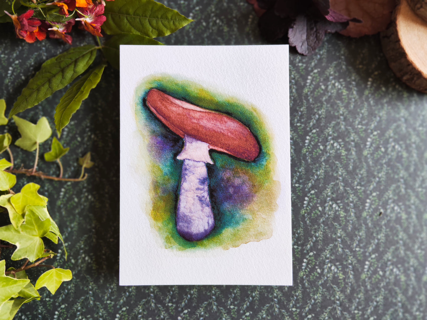 Carte Champignon – Illustration botanique à l’aquarelle