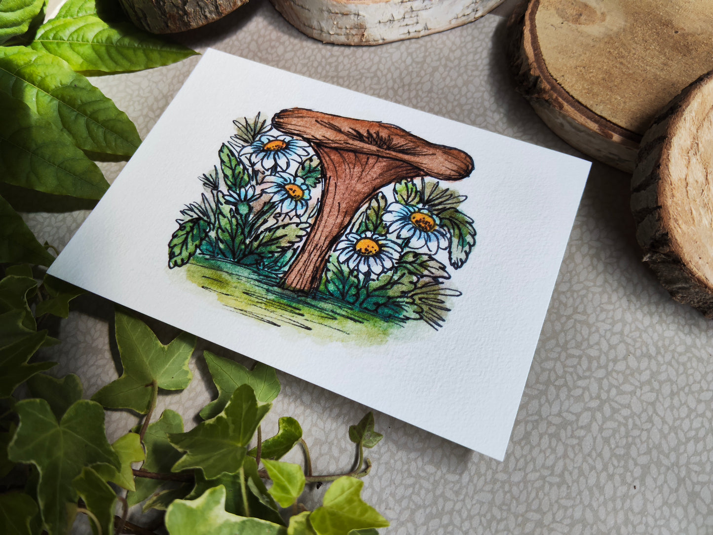 Carte Champignon Fleurs Marguerite – Illustration Jardin à l’aquarelle