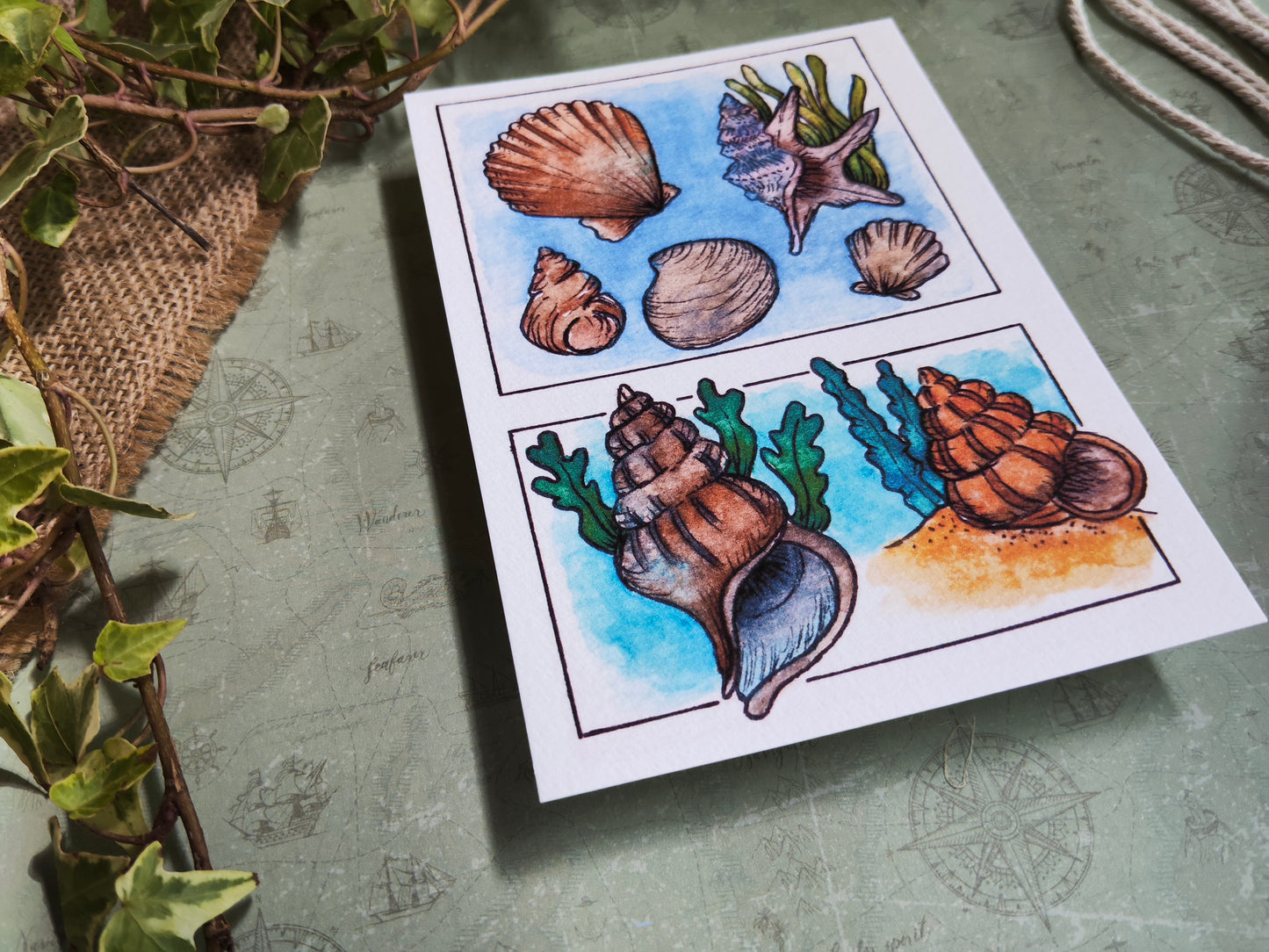 Carte Coquillages et Algues – Trésors de la mer en Aquarelle