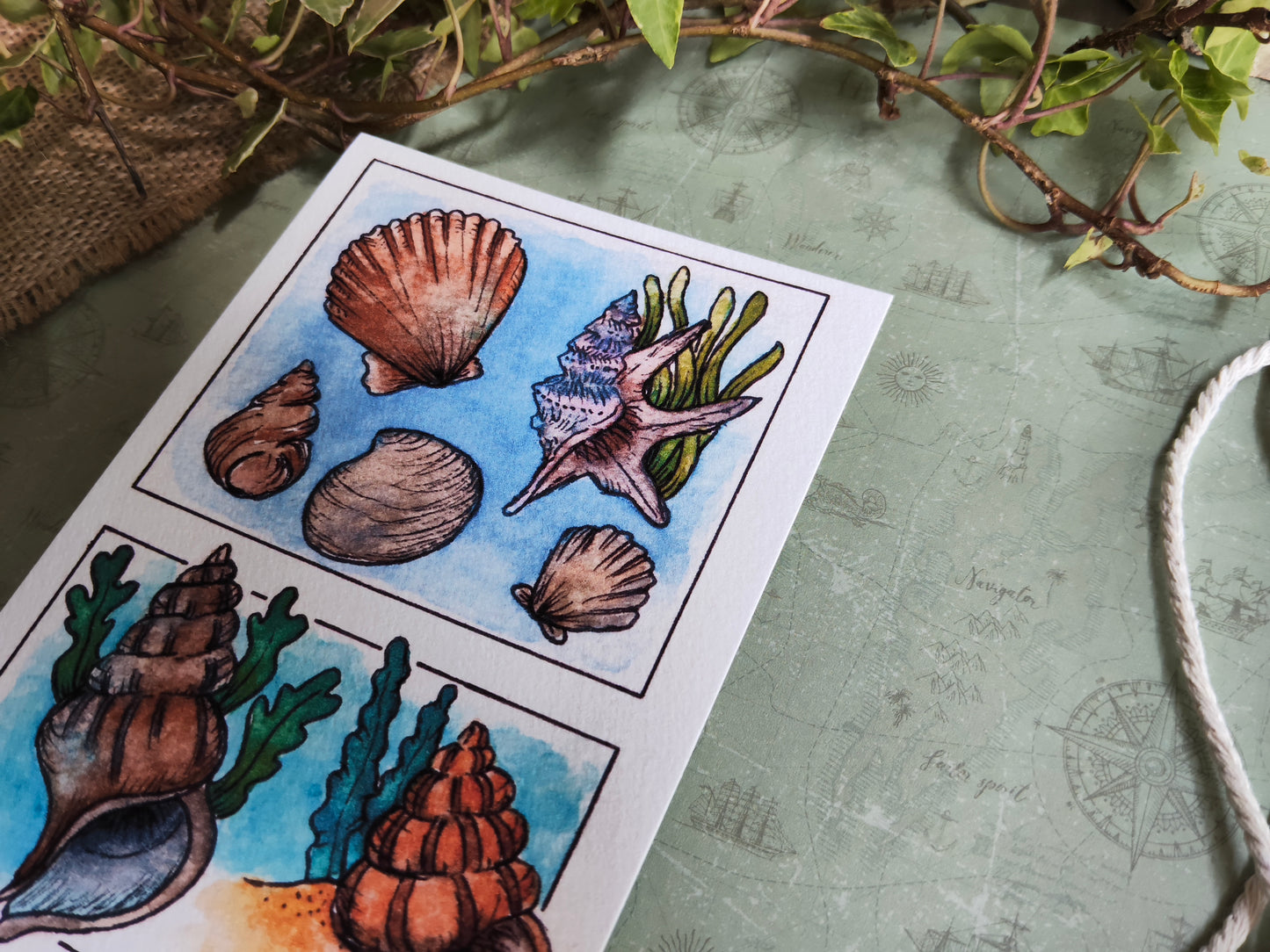 Carte Coquillages et Algues – Trésors de la mer en Aquarelle