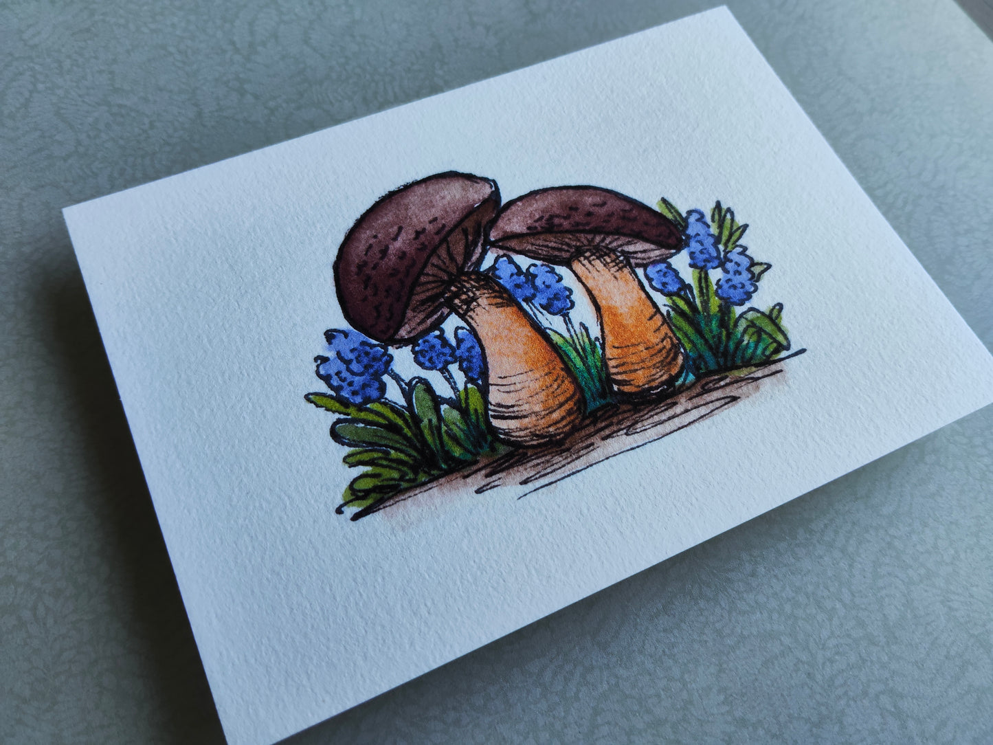 Carte Deux champignons dans les fleurs bleues – Illustration aquarelle