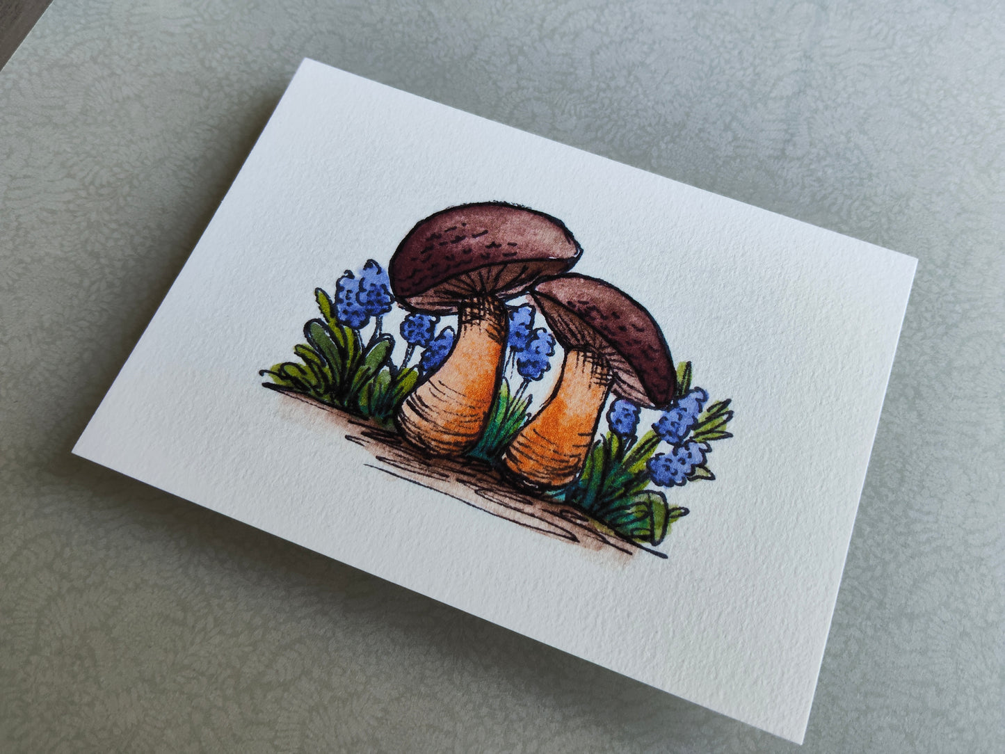 Carte Deux champignons dans les fleurs bleues – Illustration aquarelle