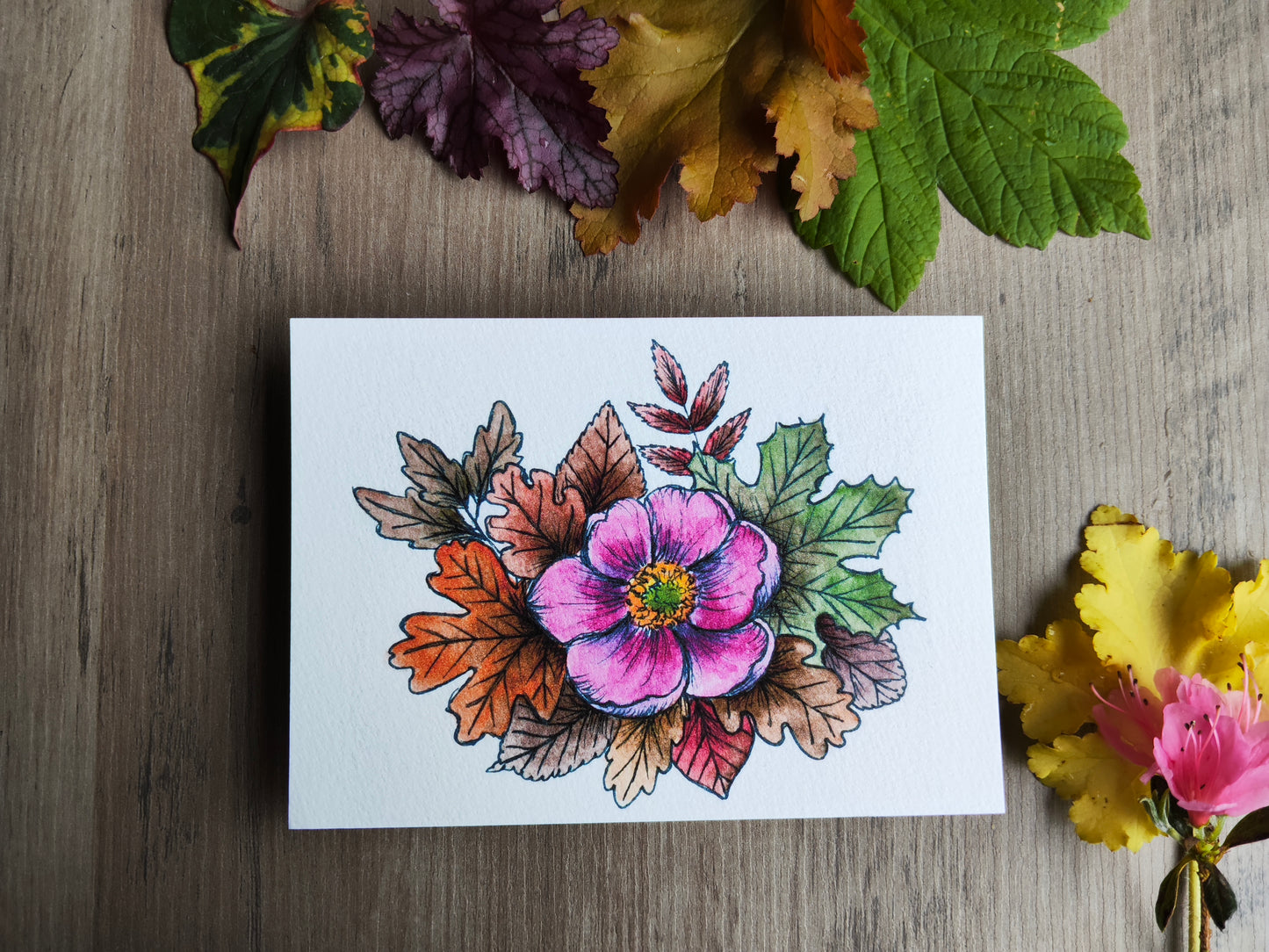 Carte A5 – Anémone du Japon à l’aquarelle – Illustration florale automnale