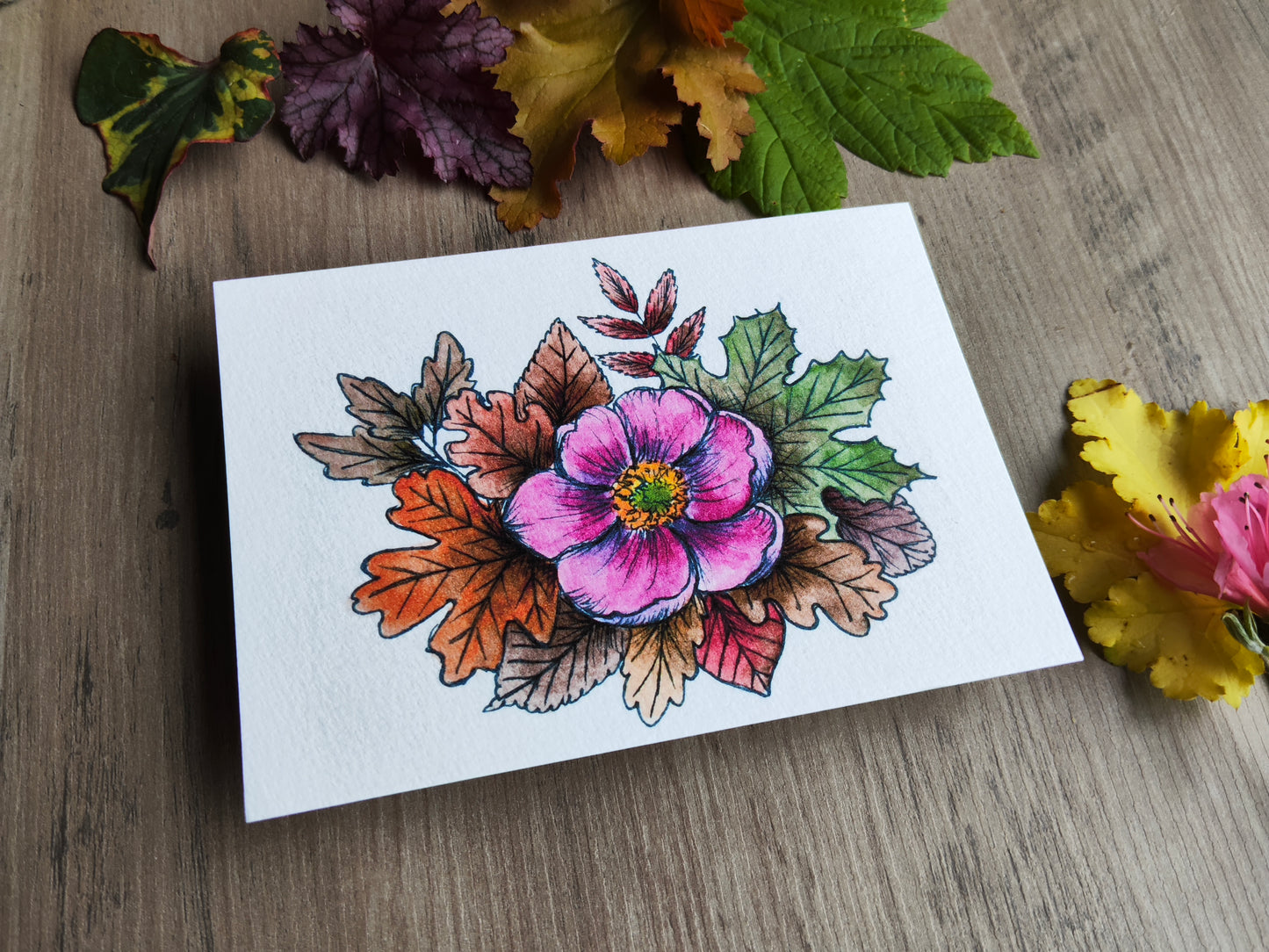 Carte A5 – Anémone du Japon à l’aquarelle – Illustration florale automnale