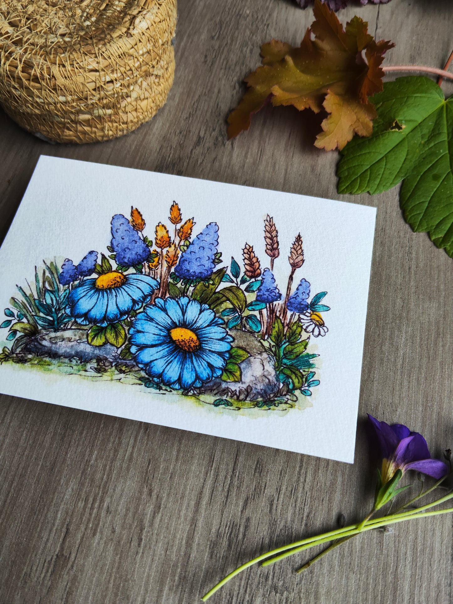 Carte A6 fleurie – Illustration aquarelle originale – Marguerites bleues et fleurs des champs