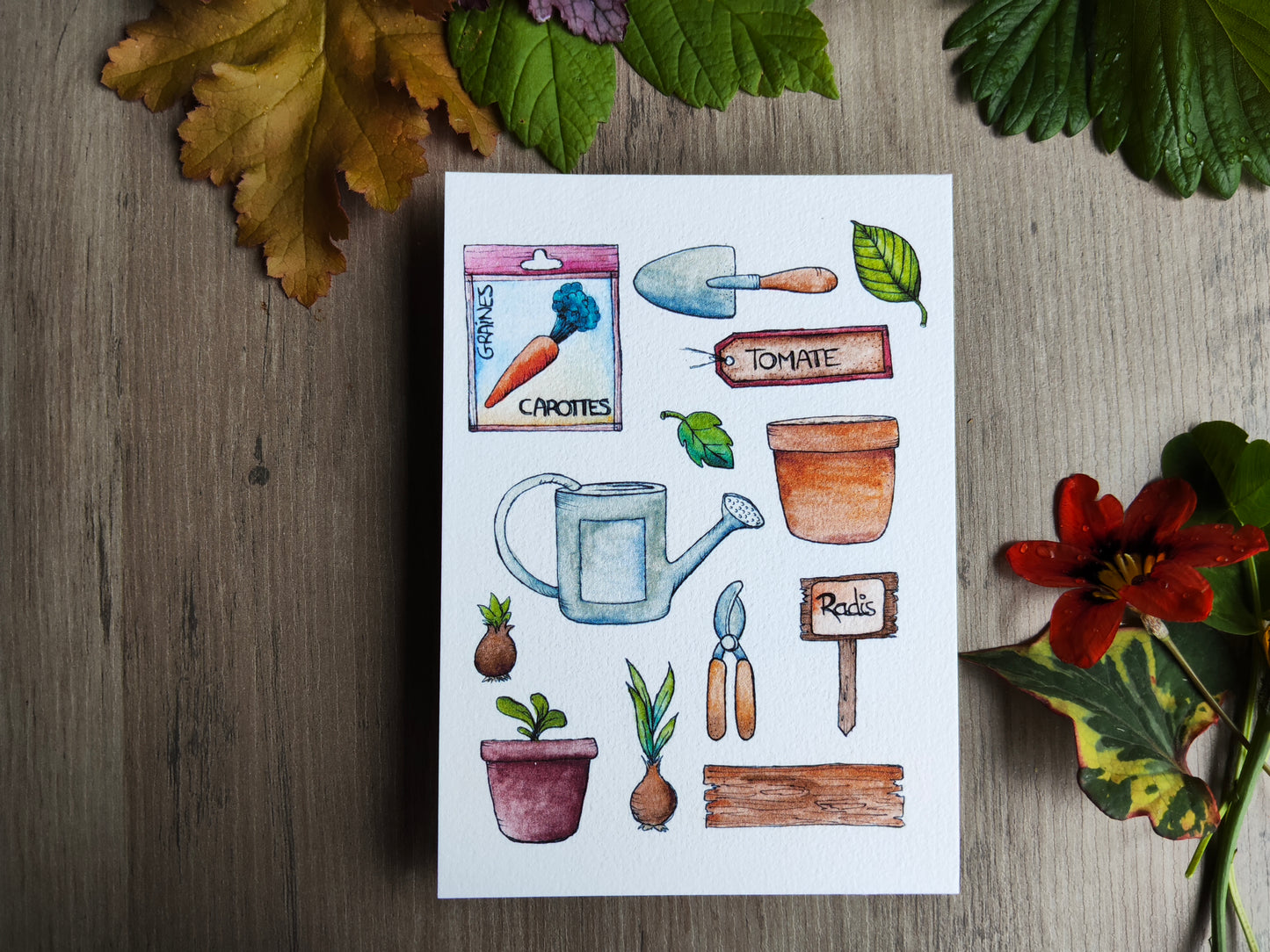 Carte illustrée A6 – Illustration aquarelle outils de jardinage, graines, potager, légumes, jardin et nature