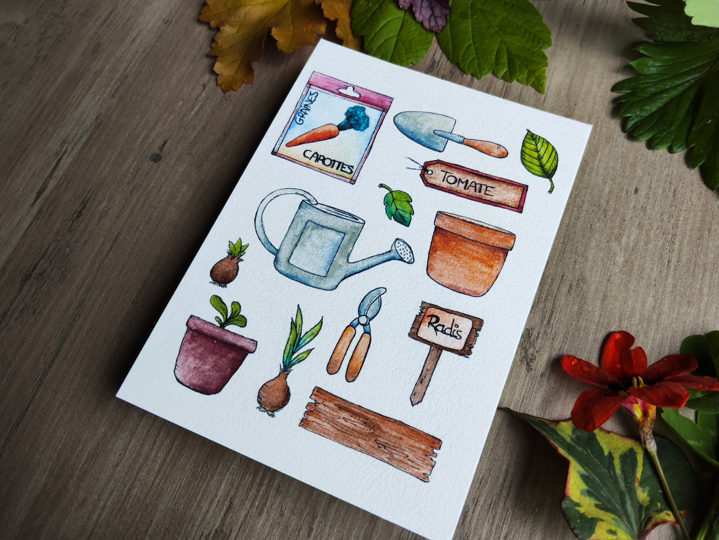 Carte illustrée A6 – Illustration aquarelle outils de jardinage, graines, potager, légumes, jardin et nature