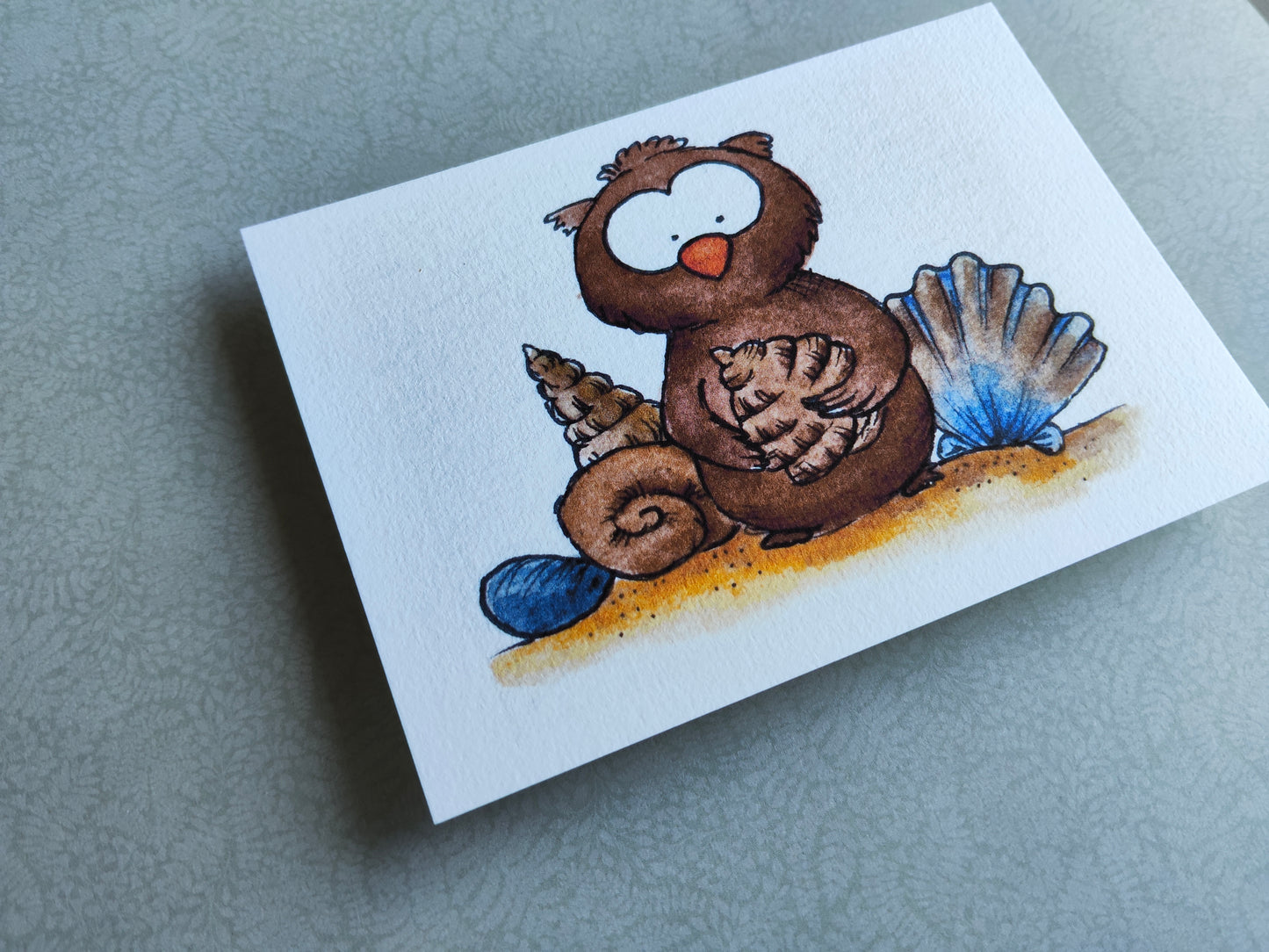 Carte Oiseau Hibou et Coquillage – Illustration Mignonne et Naturelle