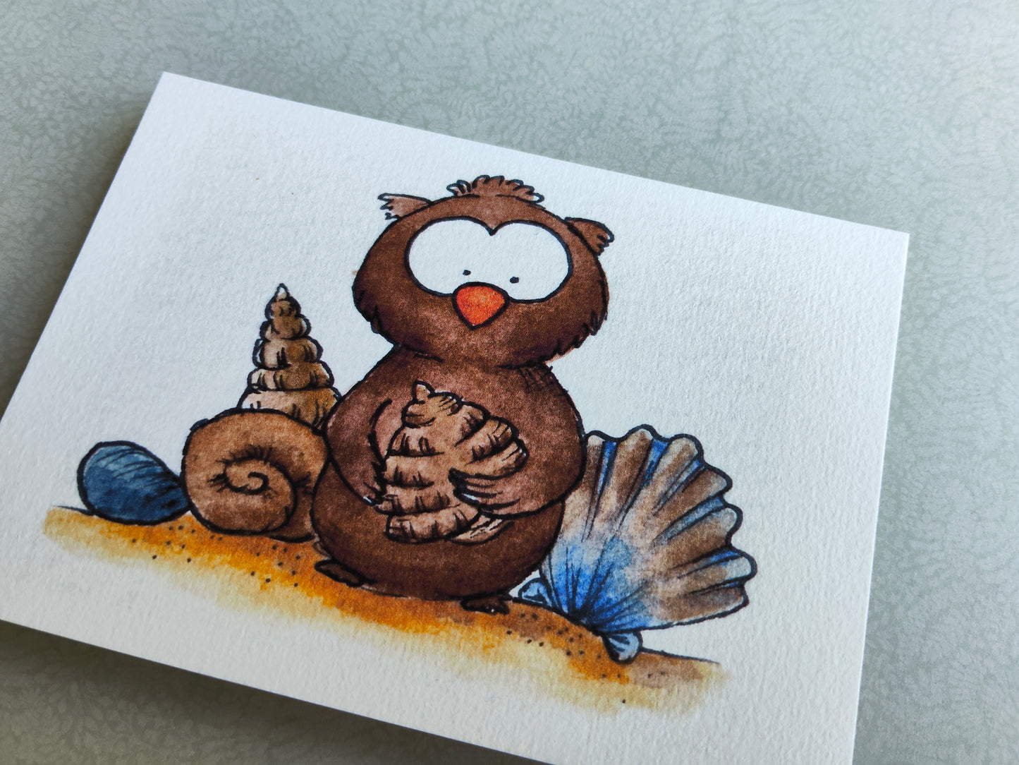 Carte Oiseau Hibou et Coquillage – Illustration Mignonne et Naturelle