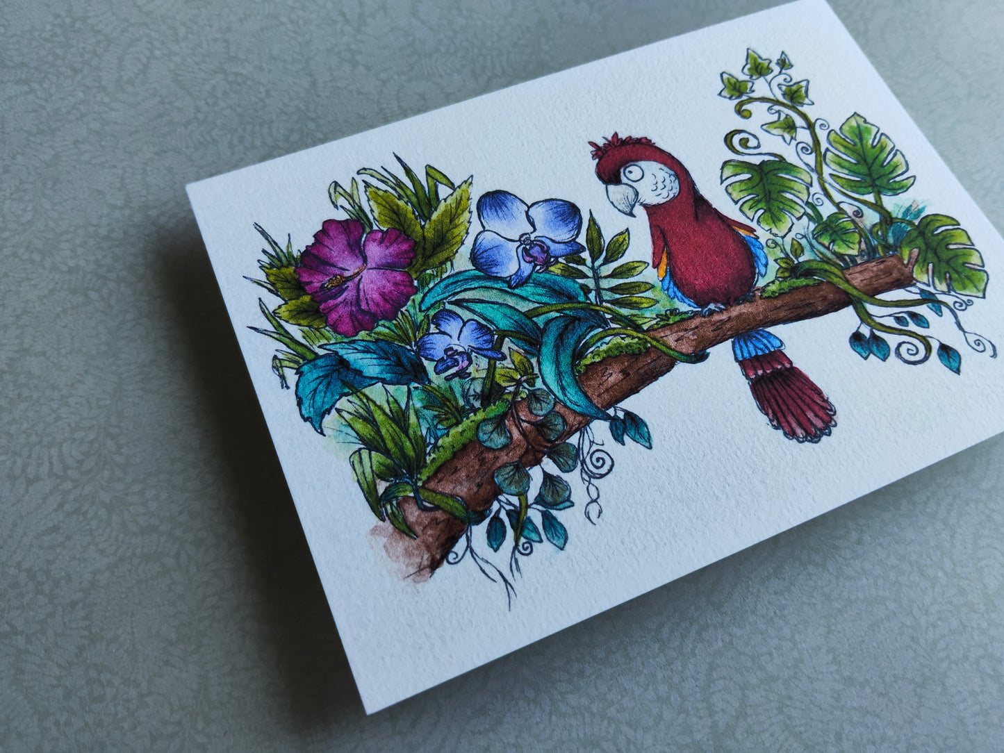 Carte A6 Oiseau Perroquet Ara sur branche fleurie – Aquarelle nature