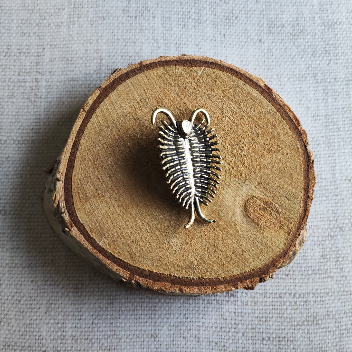 Figurine Animal trilobite laiton Miniature
