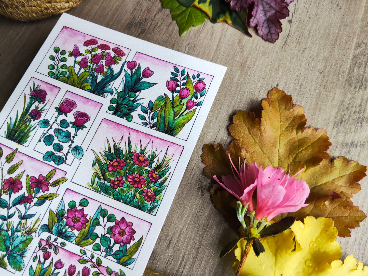 Carte illustrée A6 – Fleurs roses à l’aquarelle – Impression fine sur papier 300g