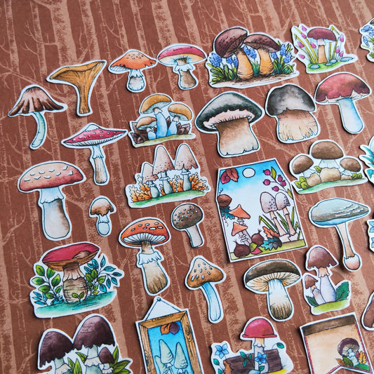 Stickers Champignon Automne – Lot d'autocollants à l’aquarelle - Illustrations Saison Automnale Forêt