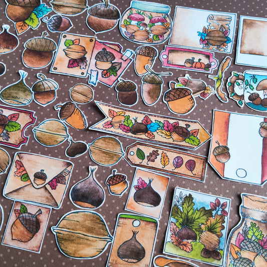 Stickers Automne Gland Marron Noix – Lot d'autocollants à l’aquarelle - Illustrations Saison Automnale Octobre Novembre