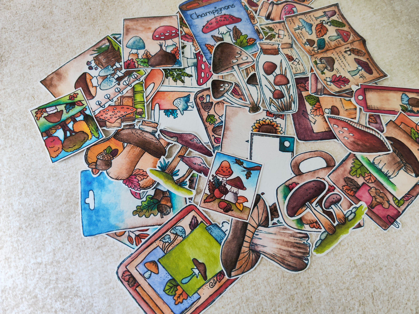 Stickers champignons – Lot de 36 autocollants à l’aquarelle - Illustrations forêt et automne