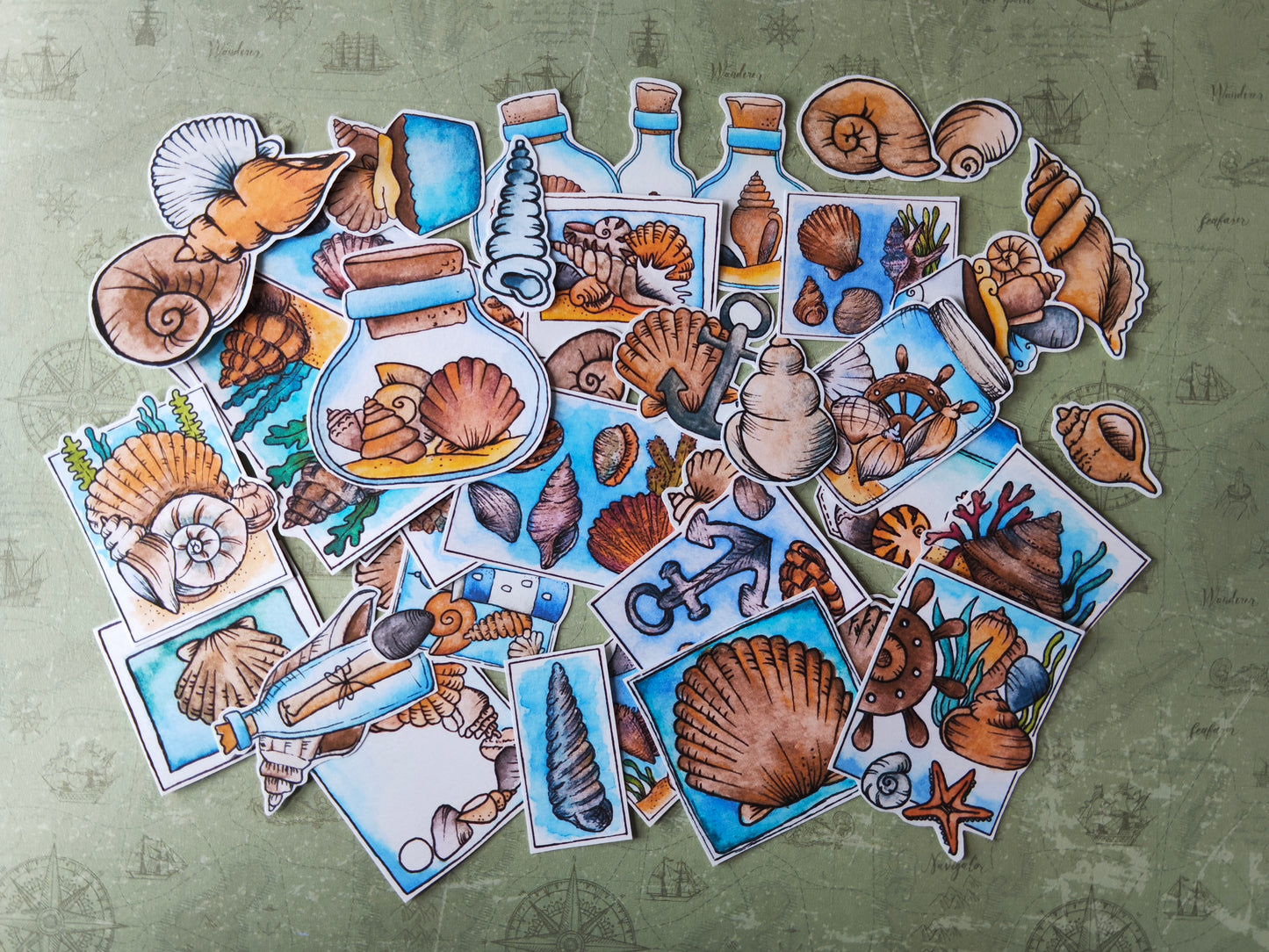 Stickers coquillages – Lot de 38 autocollants d’été à l’aquarelle - Illustrations nature et océan